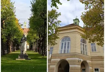 Austria-Hungary in the Global Colonial System